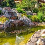 5 Reasons To Ask Your Landscape Architect To Include Water Features